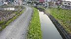 area11-20240606185051.jpg
