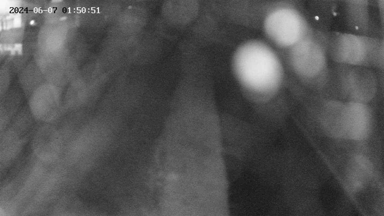 area11-20240607015051.jpg