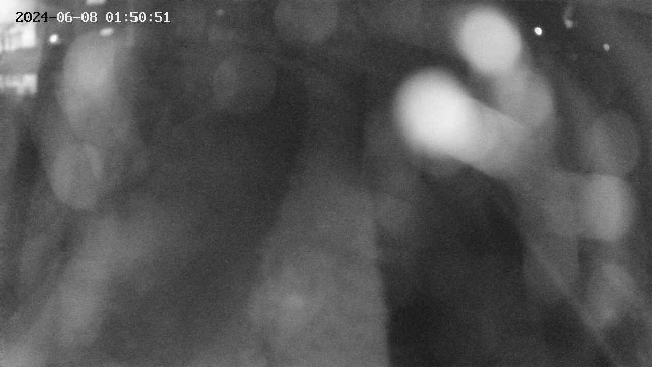 area11-20240608015052.jpg