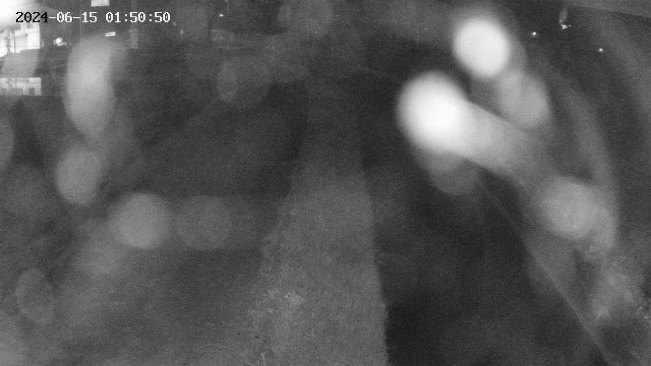 area11-20240615015051.jpg