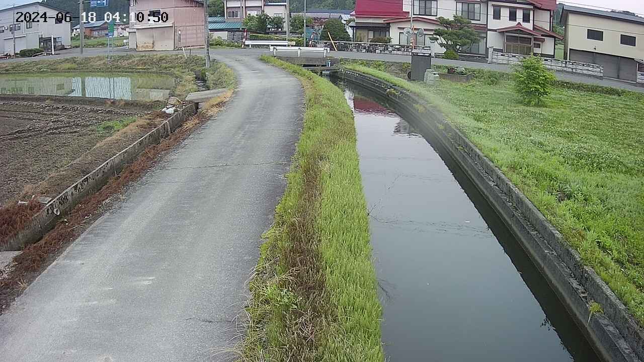 area11-20240618041051.jpg