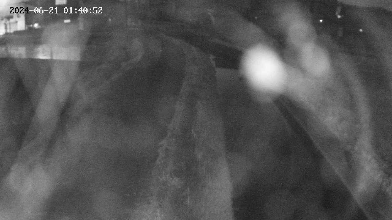 area11-20240621014053.jpg