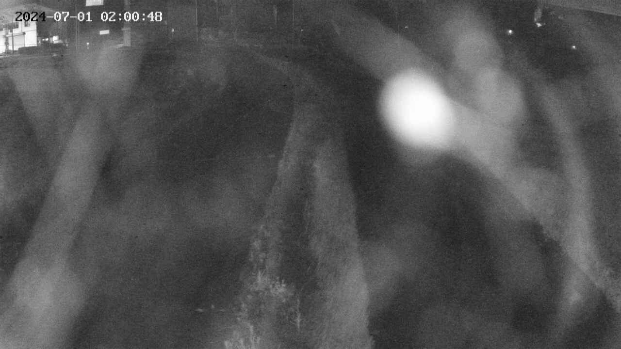 area11-20240701020050.jpg