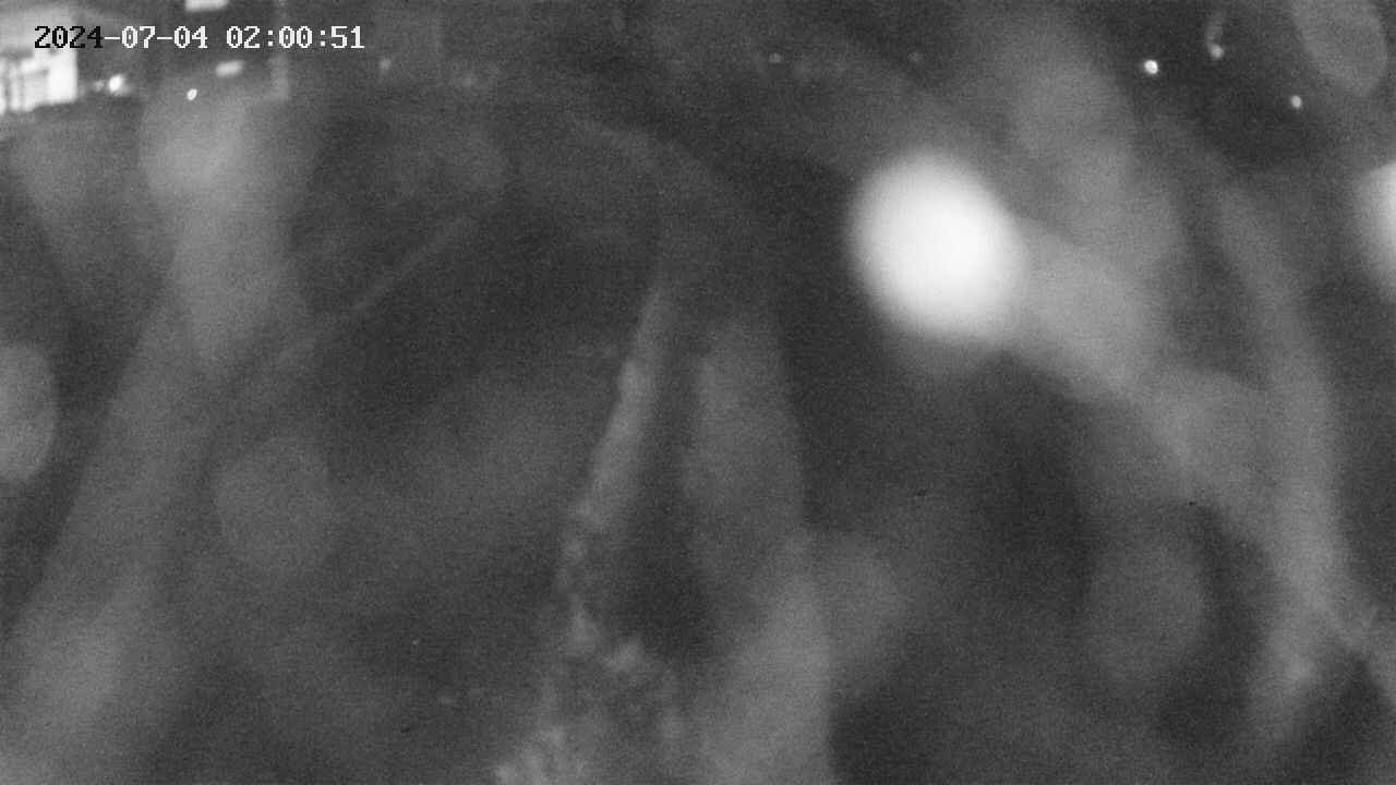 area11-20240704020052.jpg