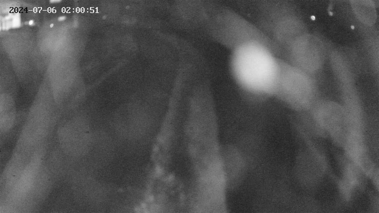 area11-20240706020052.jpg
