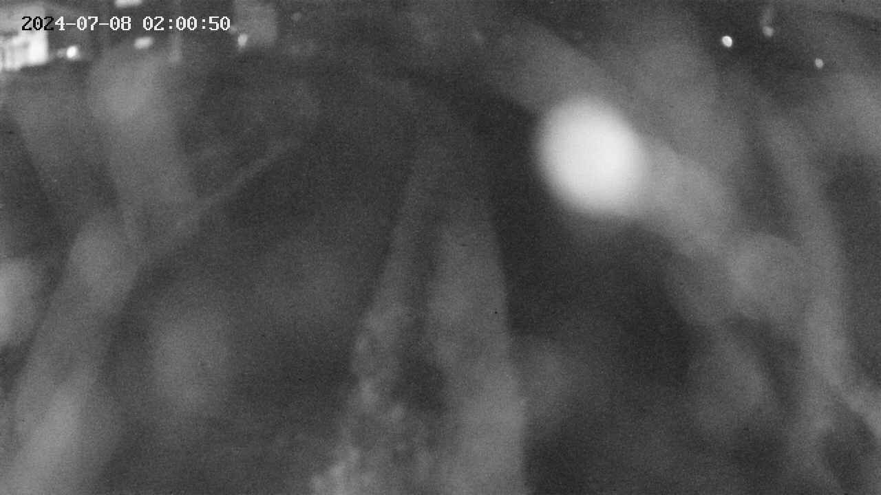 area11-20240708020052.jpg