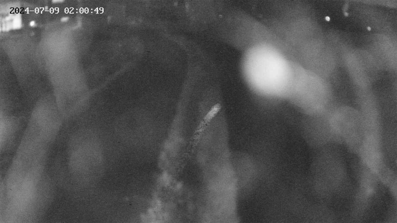 area11-20240709020051.jpg