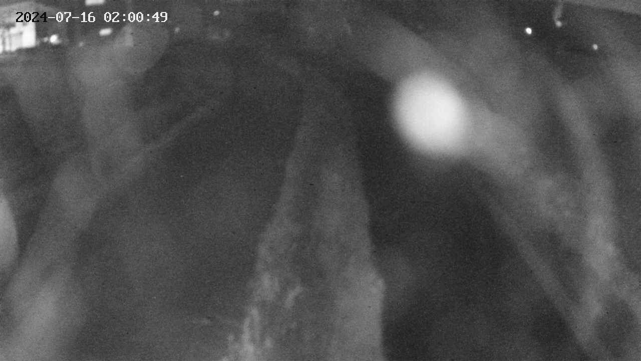 area11-20240716020050.jpg