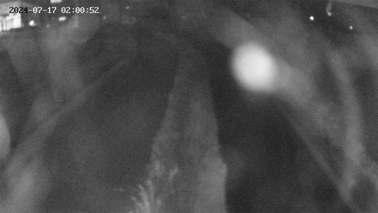 area11-20240717020053.jpg