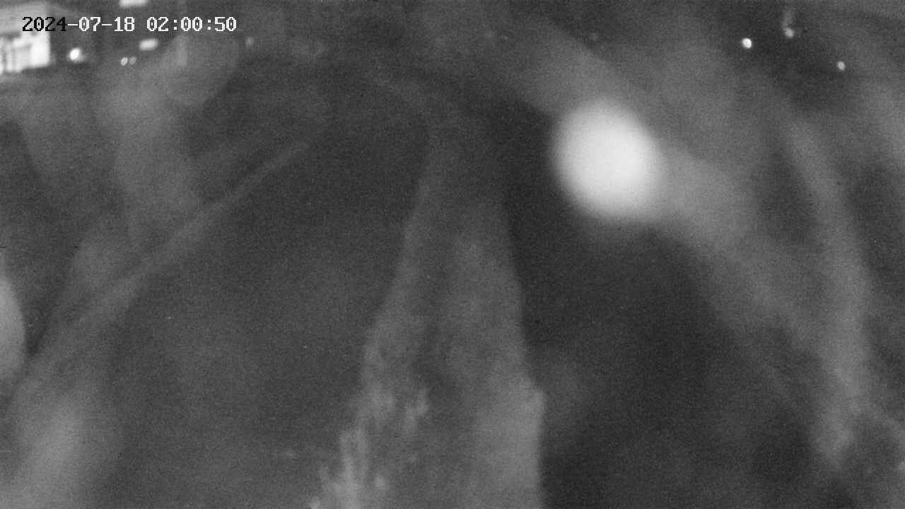 area11-20240718020051.jpg
