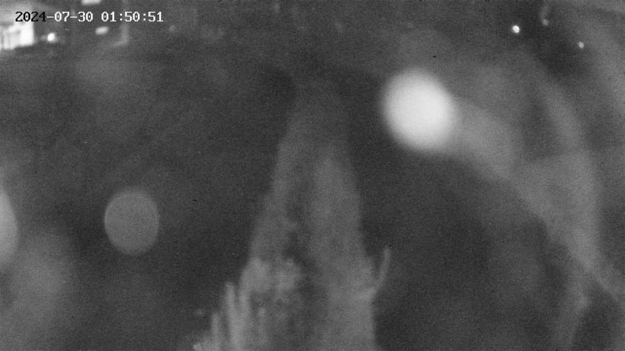 area11-20240730015051.jpg