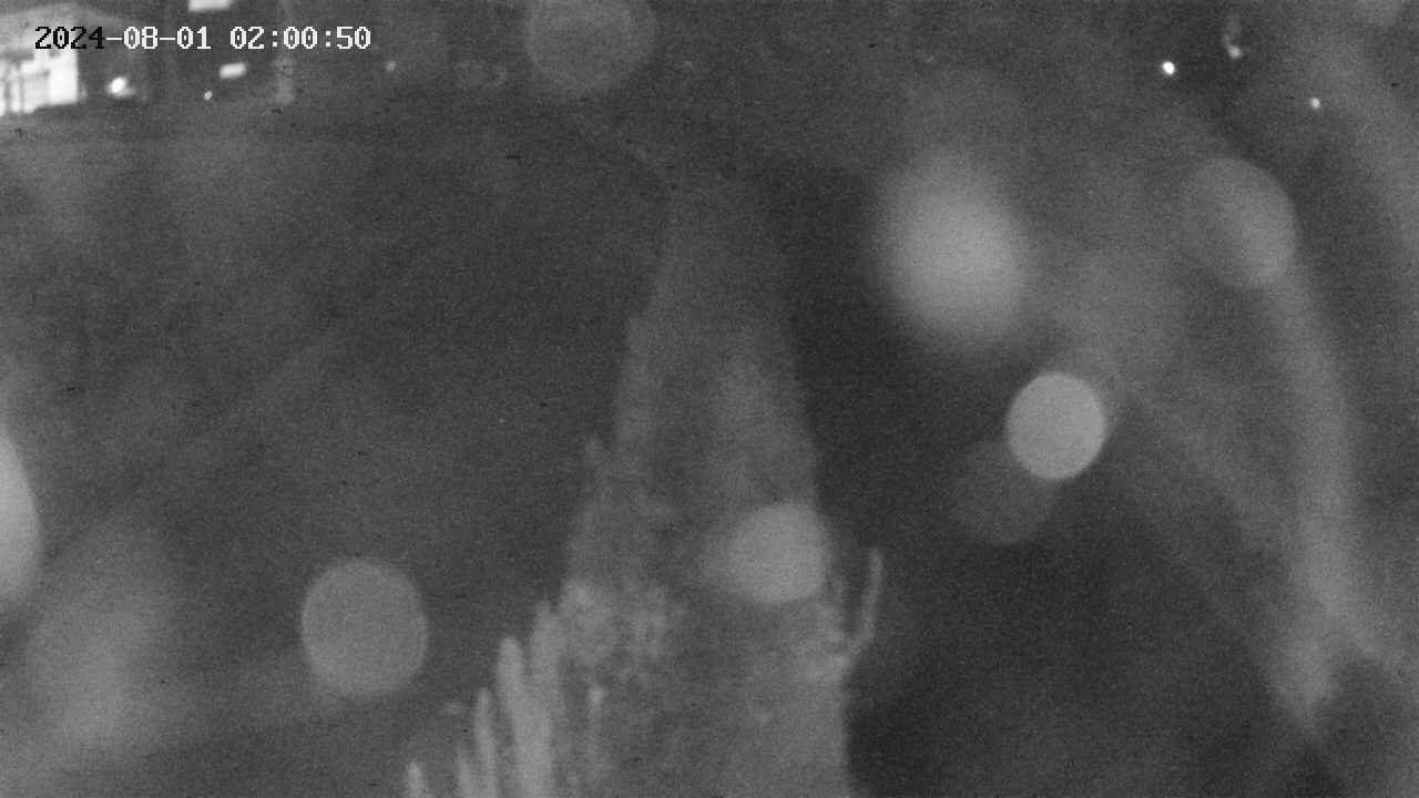 area11-20240801020050.jpg