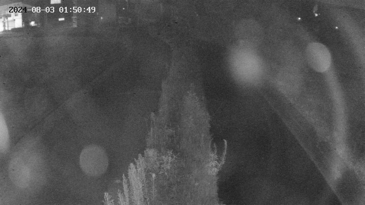area11-20240803015050.jpg