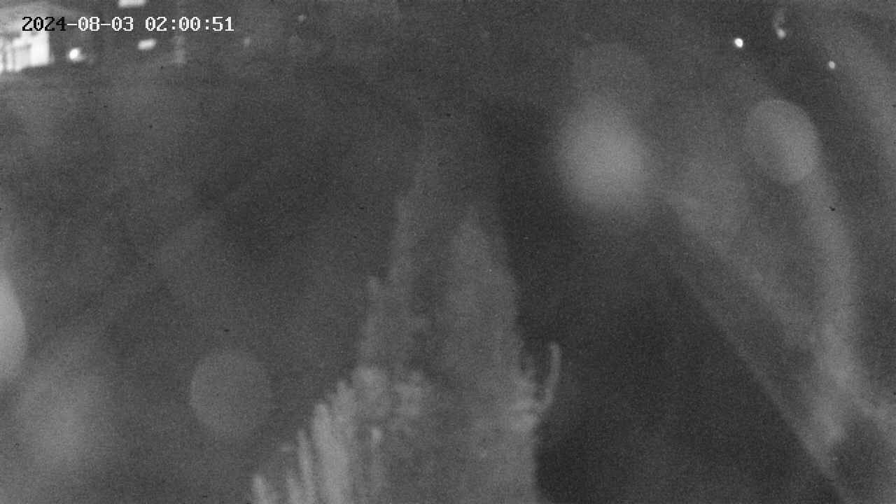 area11-20240803020051.jpg