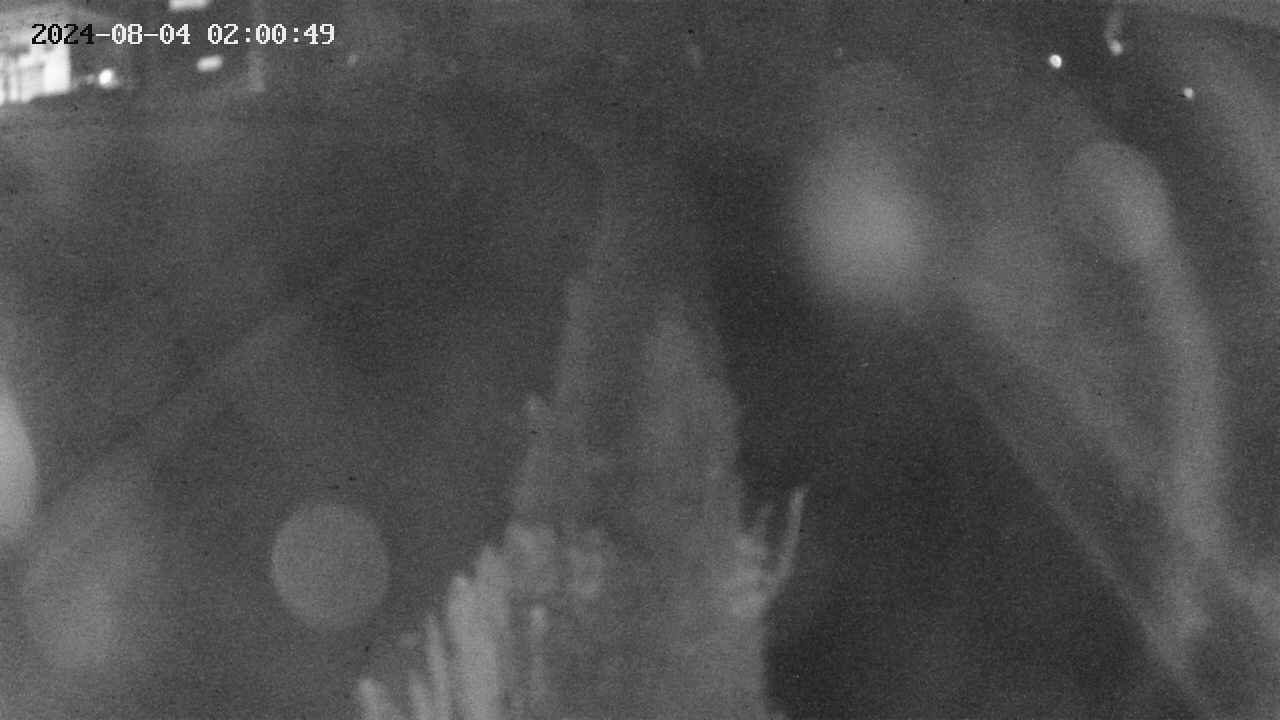 area11-20240804020050.jpg