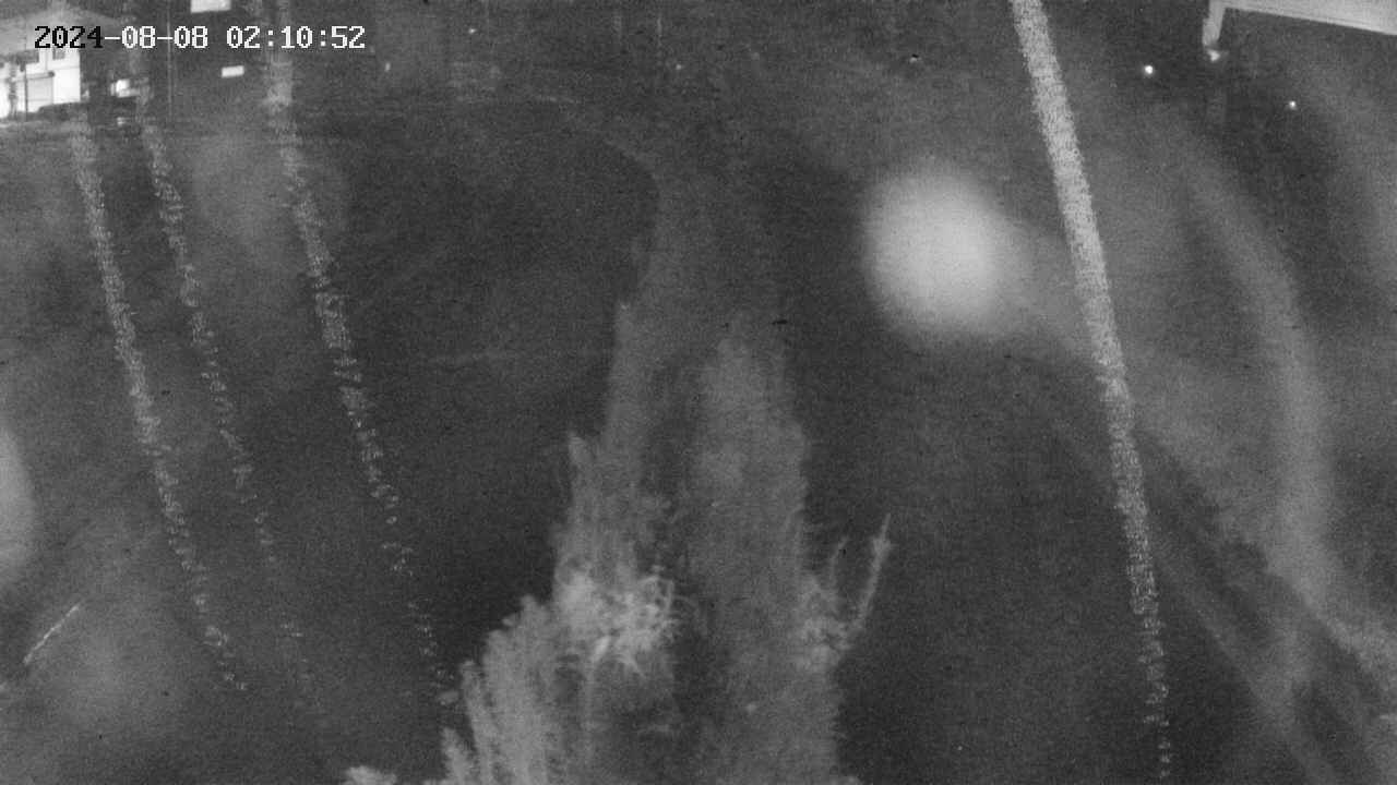 area11-20240808021052.jpg