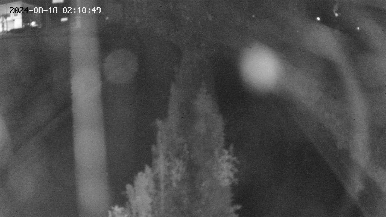 area11-20240818021050.jpg