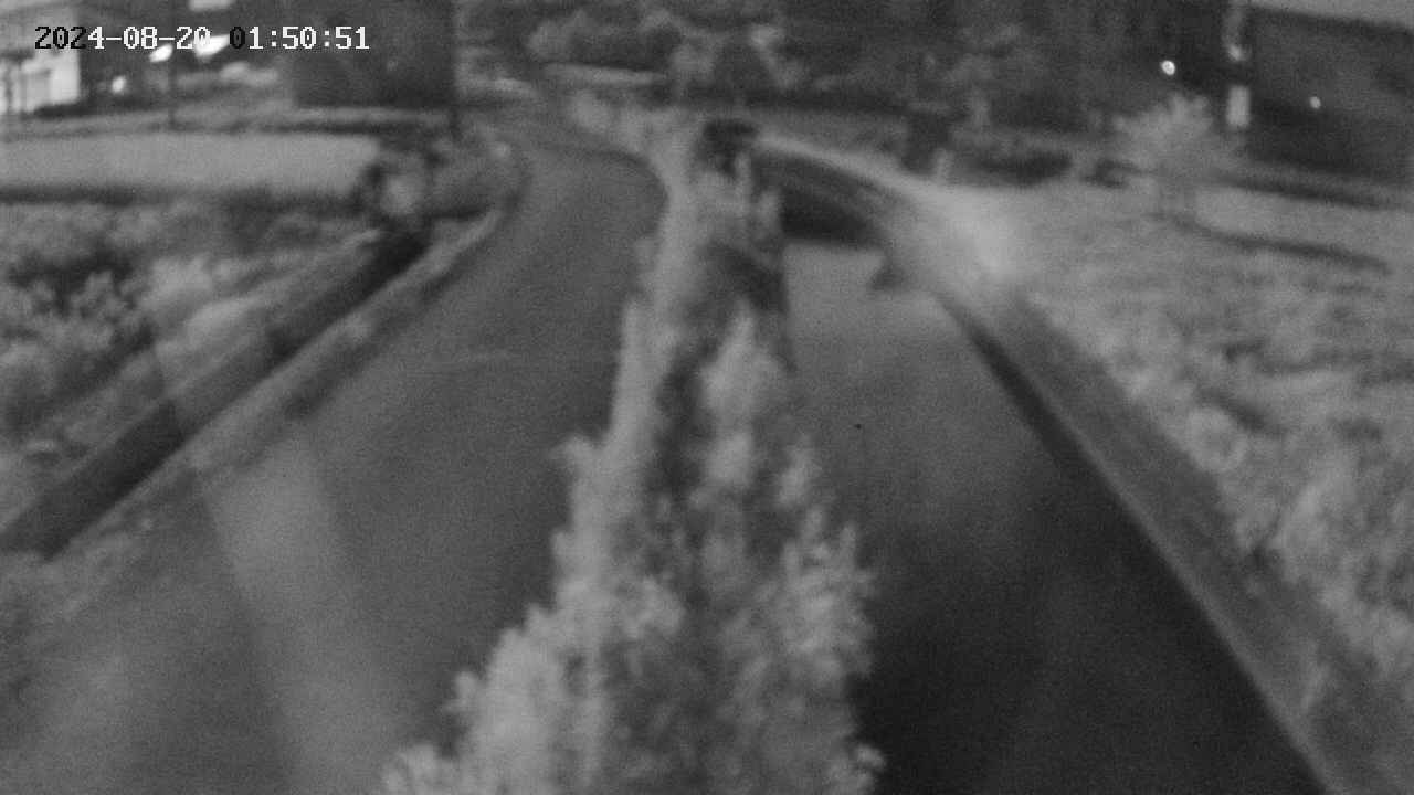 area11-20240820015051.jpg