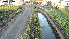 area11-20240909054051.jpg