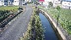 area11-20240909062051.jpg