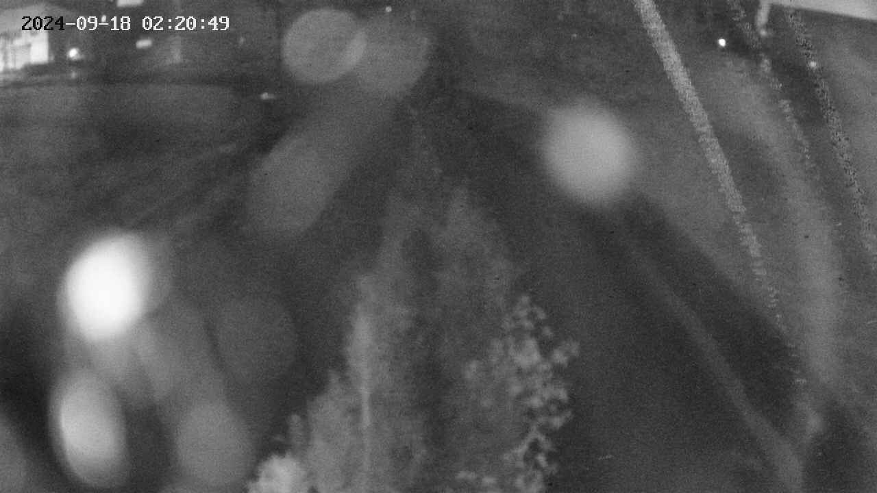 area11-20240918022050.jpg
