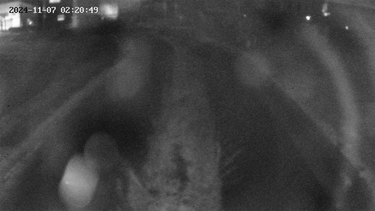 area11-20241107022051.jpg