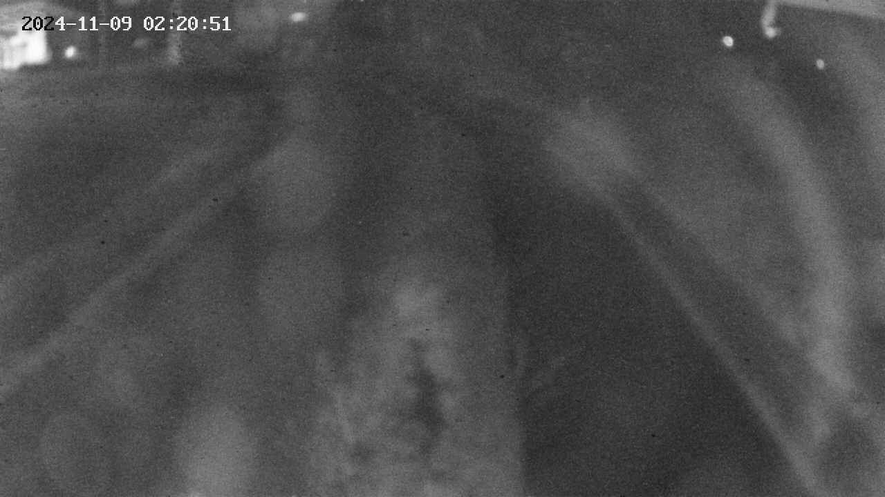 area11-20241109022052.jpg
