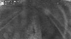 area11-20241111050053.jpg