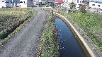 area11-20241111084051.jpg