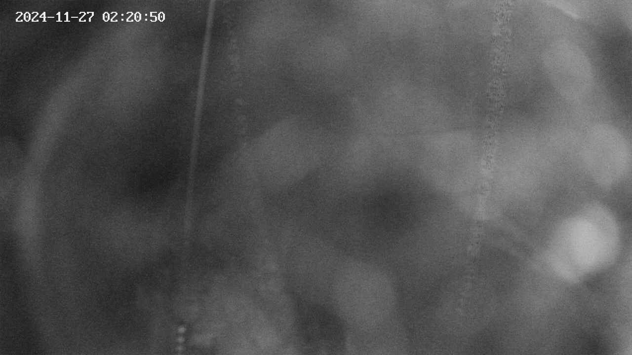 area11-20241127022051.jpg