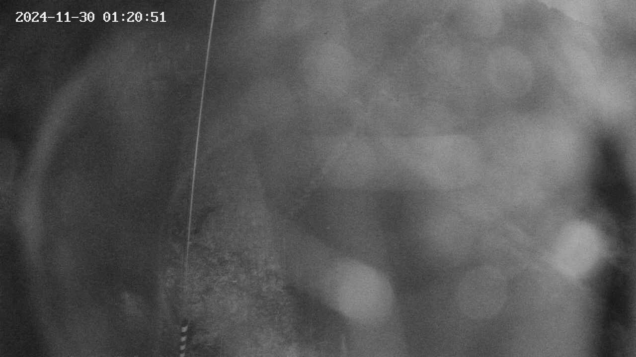 area11-20241130012052.jpg