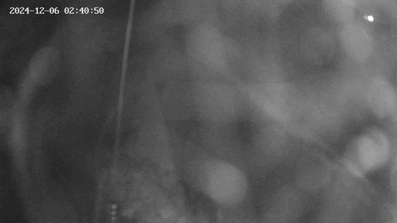 area11-20241206024051.jpg