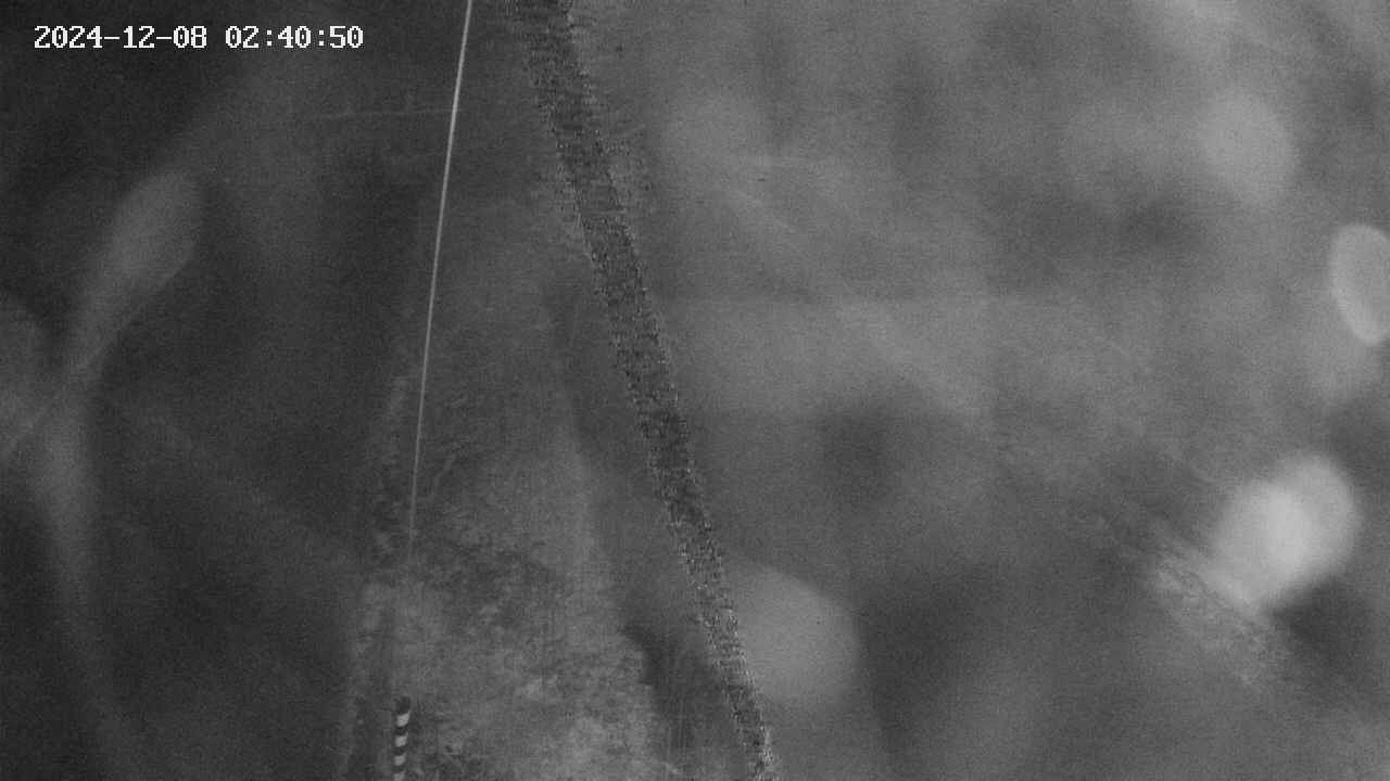 area11-20241208024052.jpg