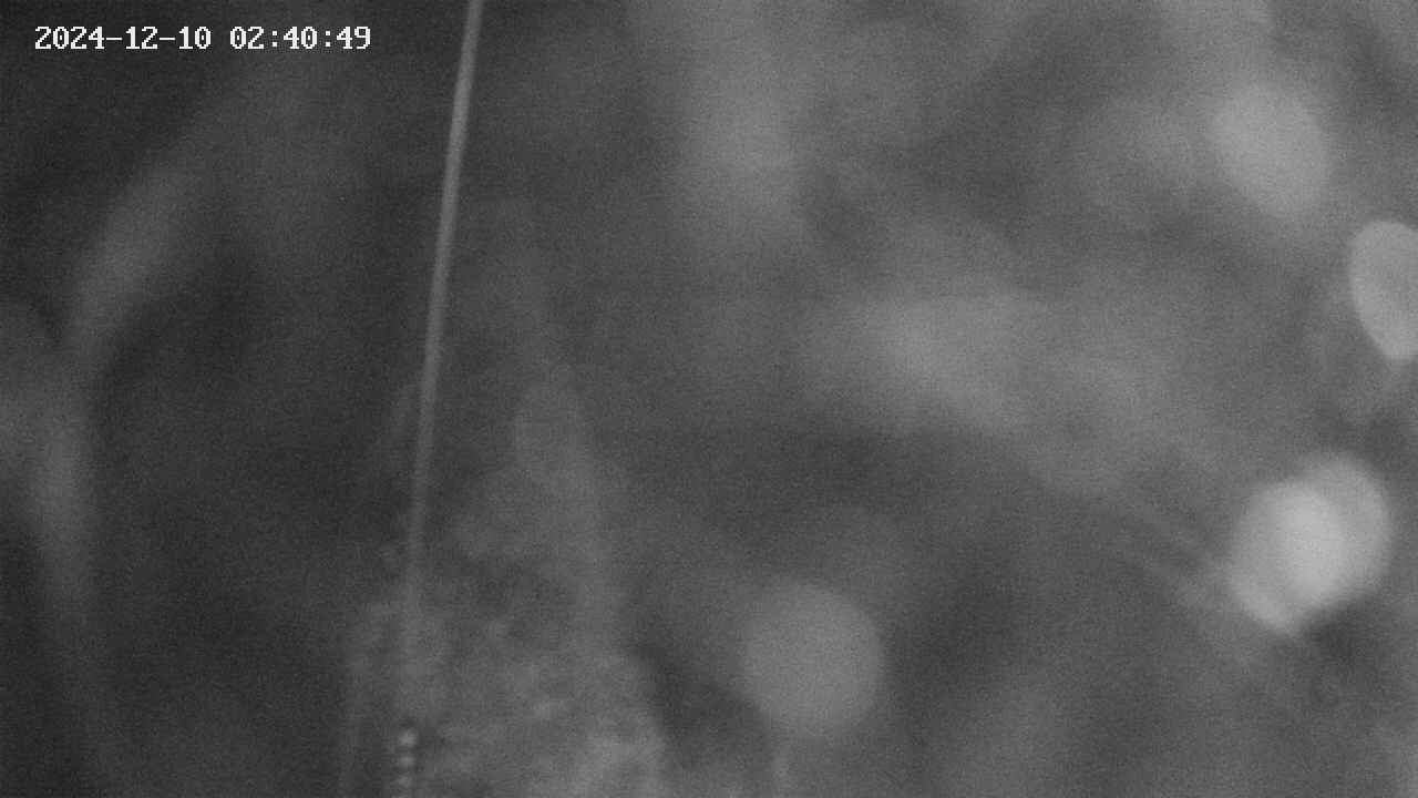 area11-20241210024050.jpg
