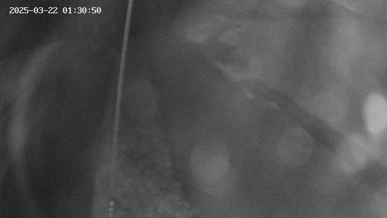 area11-20250322013051.jpg