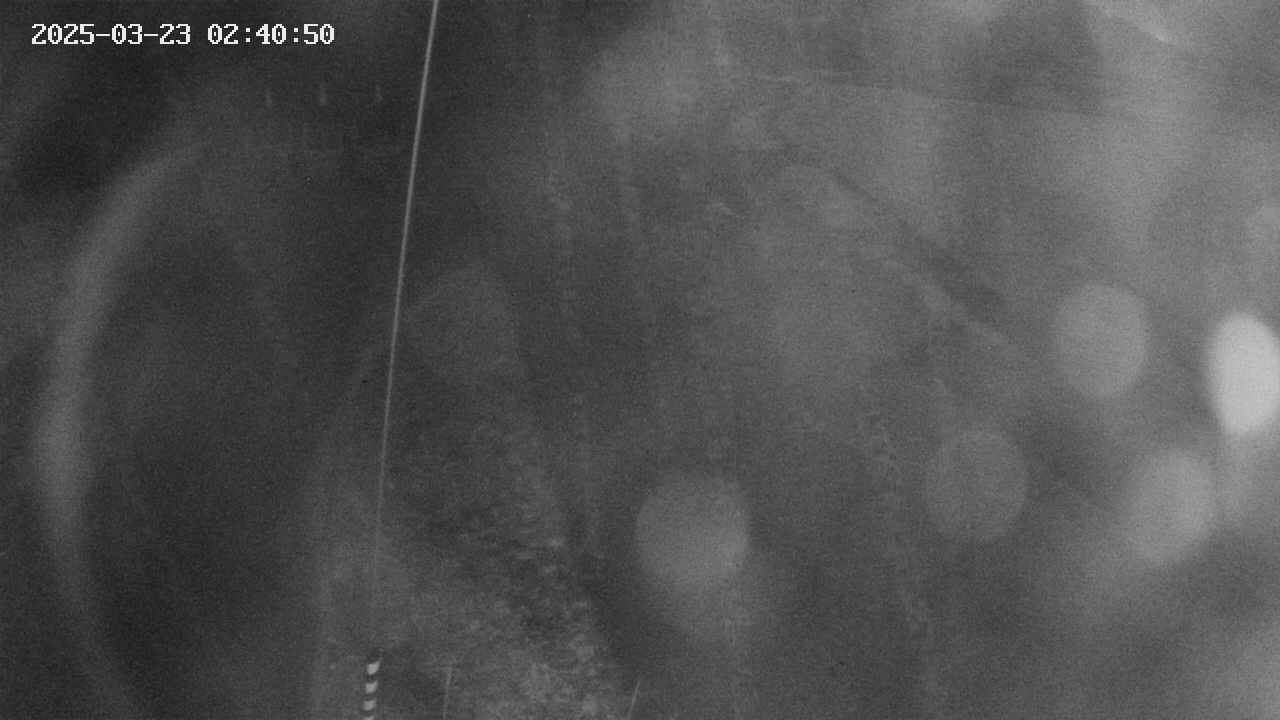 area11-20250323024051.jpg