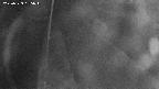 area11-20250323185050.jpg