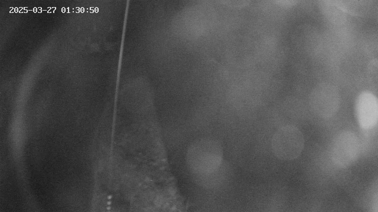 area11-20250327013052.jpg