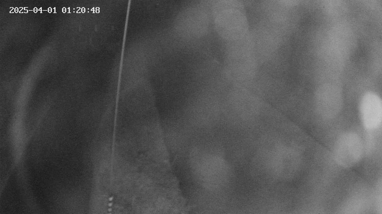 area11-20250401012050.jpg