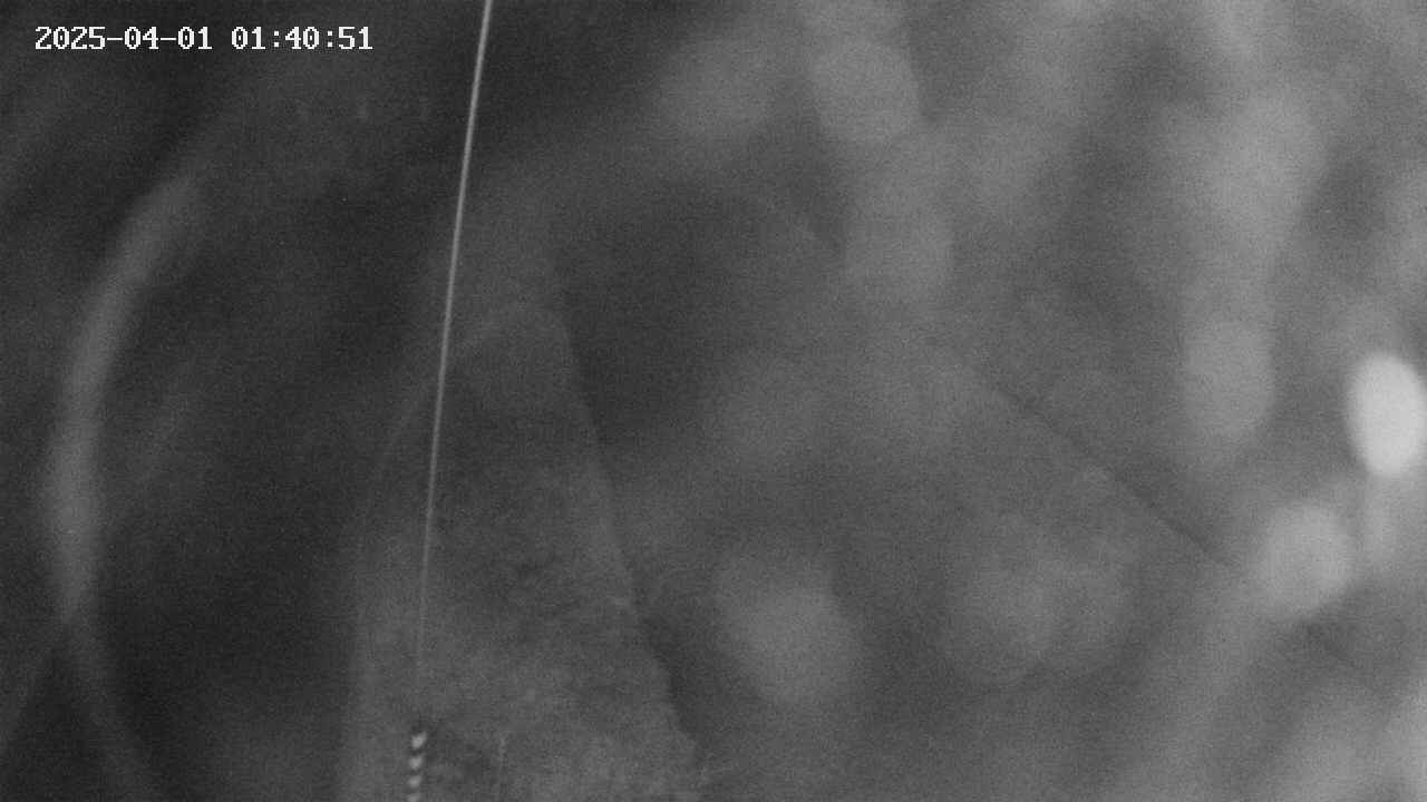 area11-20250401014052.jpg