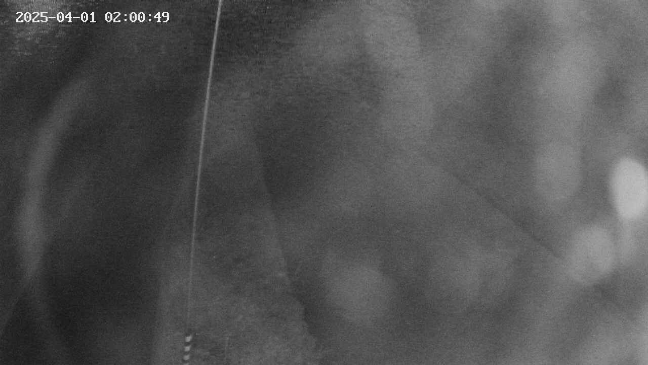 area11-20250401020051.jpg