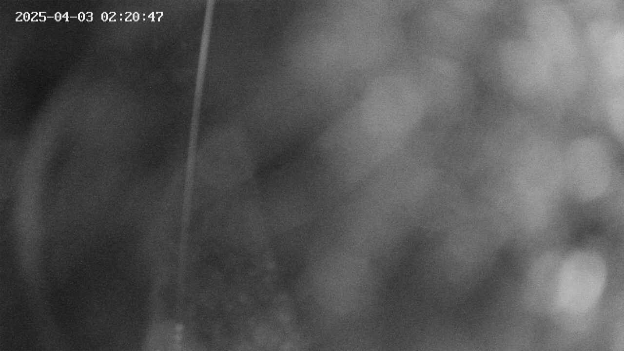 area11-20250403022049.jpg