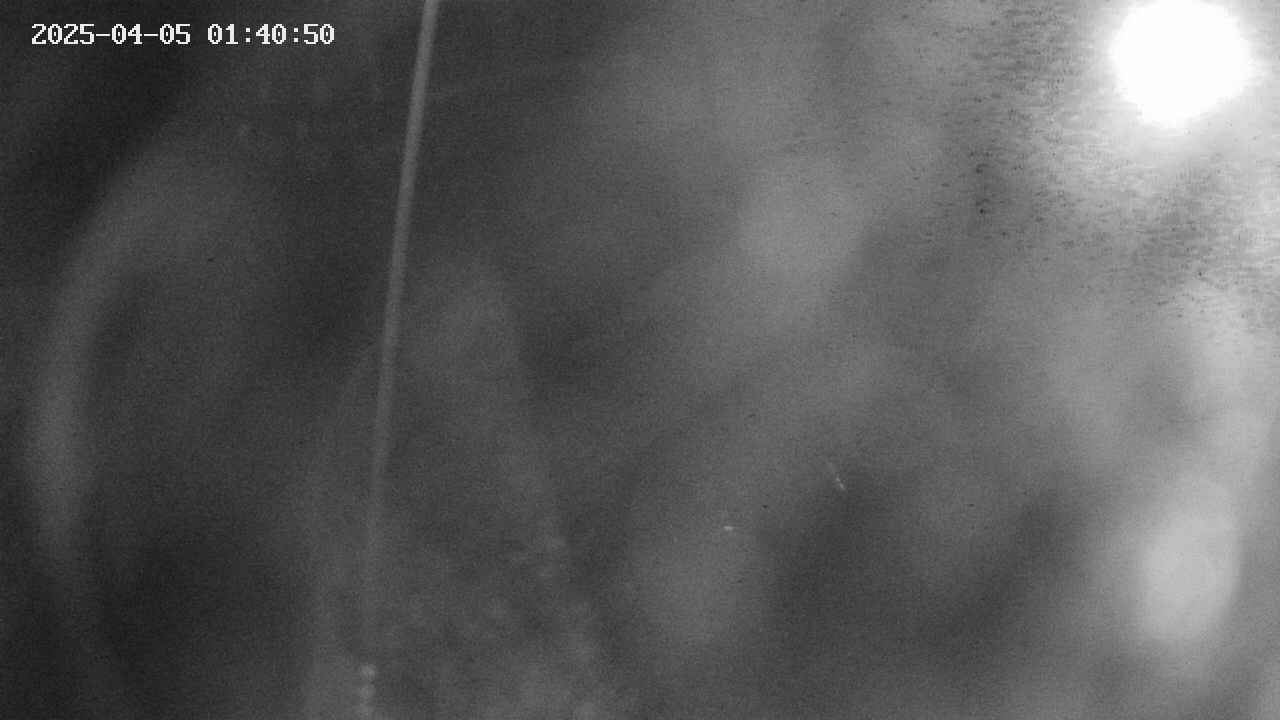 area11-20250405014052.jpg