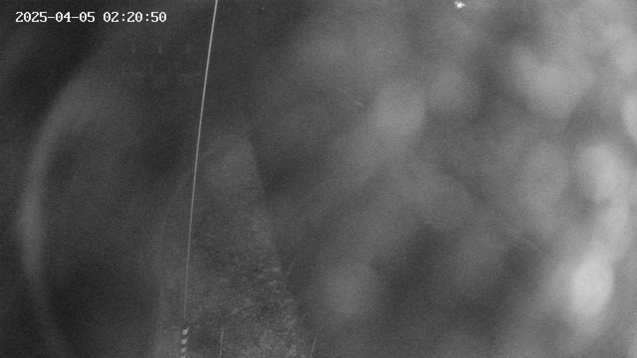 area11-20250405022051.jpg