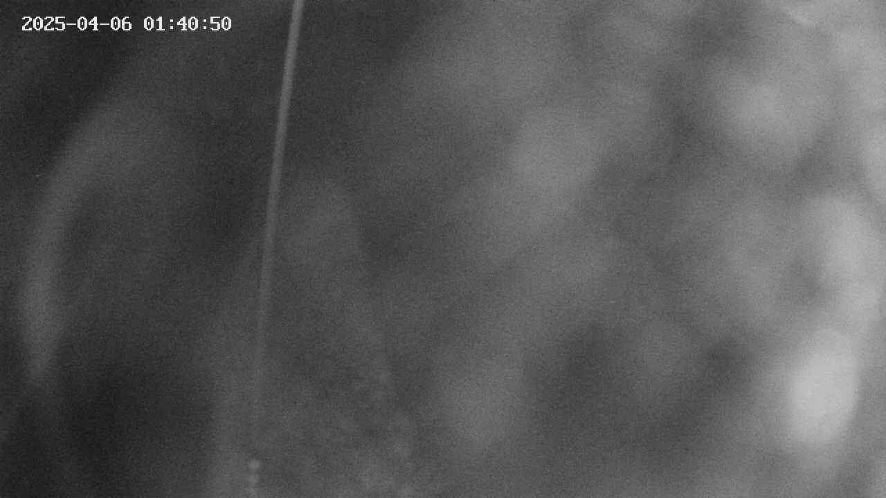 area11-20250406014051.jpg