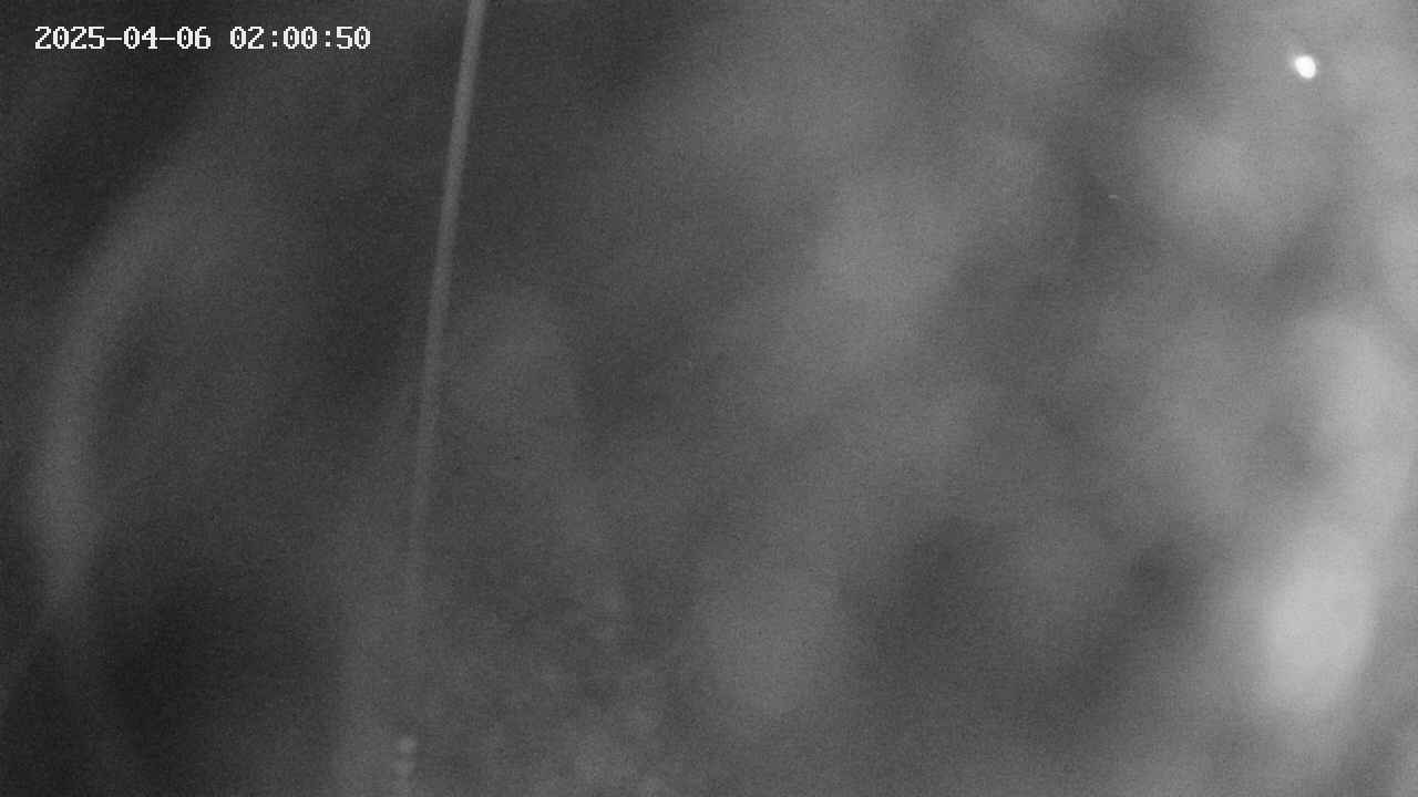 area11-20250406020052.jpg