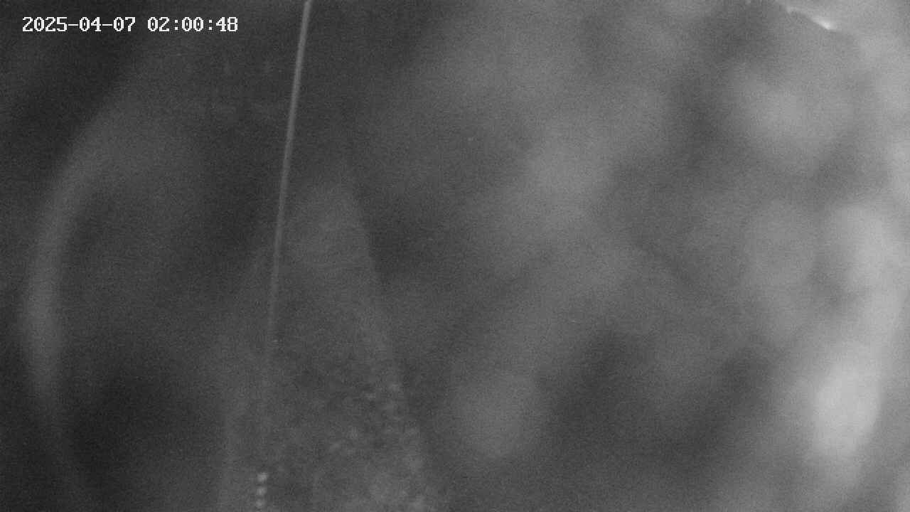 area11-20250407020050.jpg