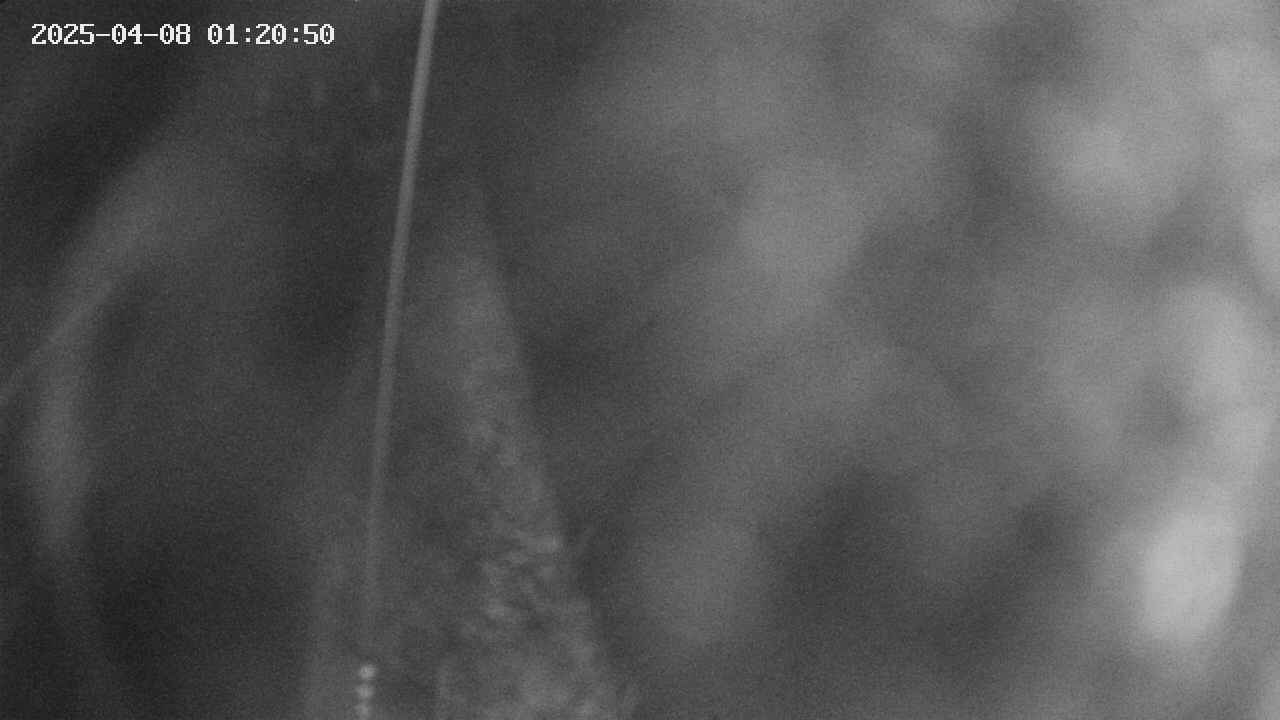 area11-20250408012051.jpg