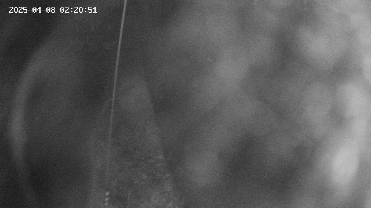 area11-20250408022052.jpg