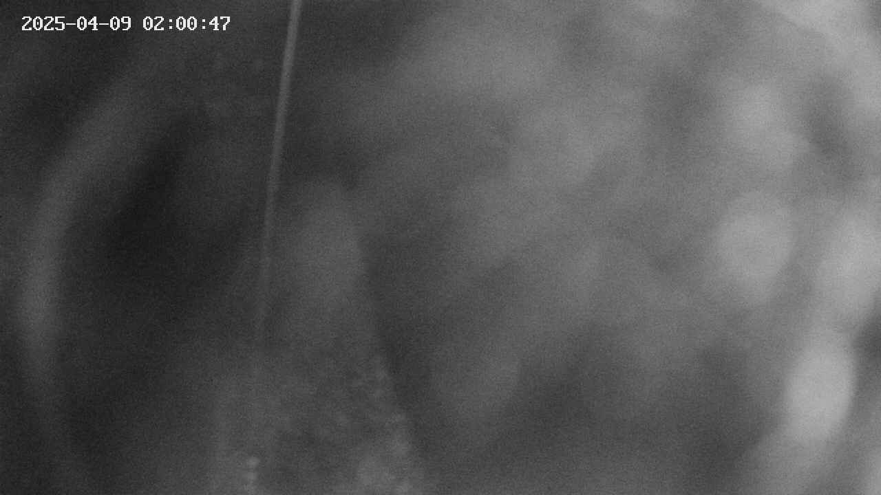 area11-20250409020049.jpg